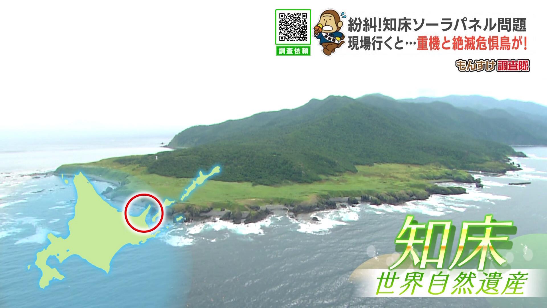 img_edc1317092980ce74fb3ffac59