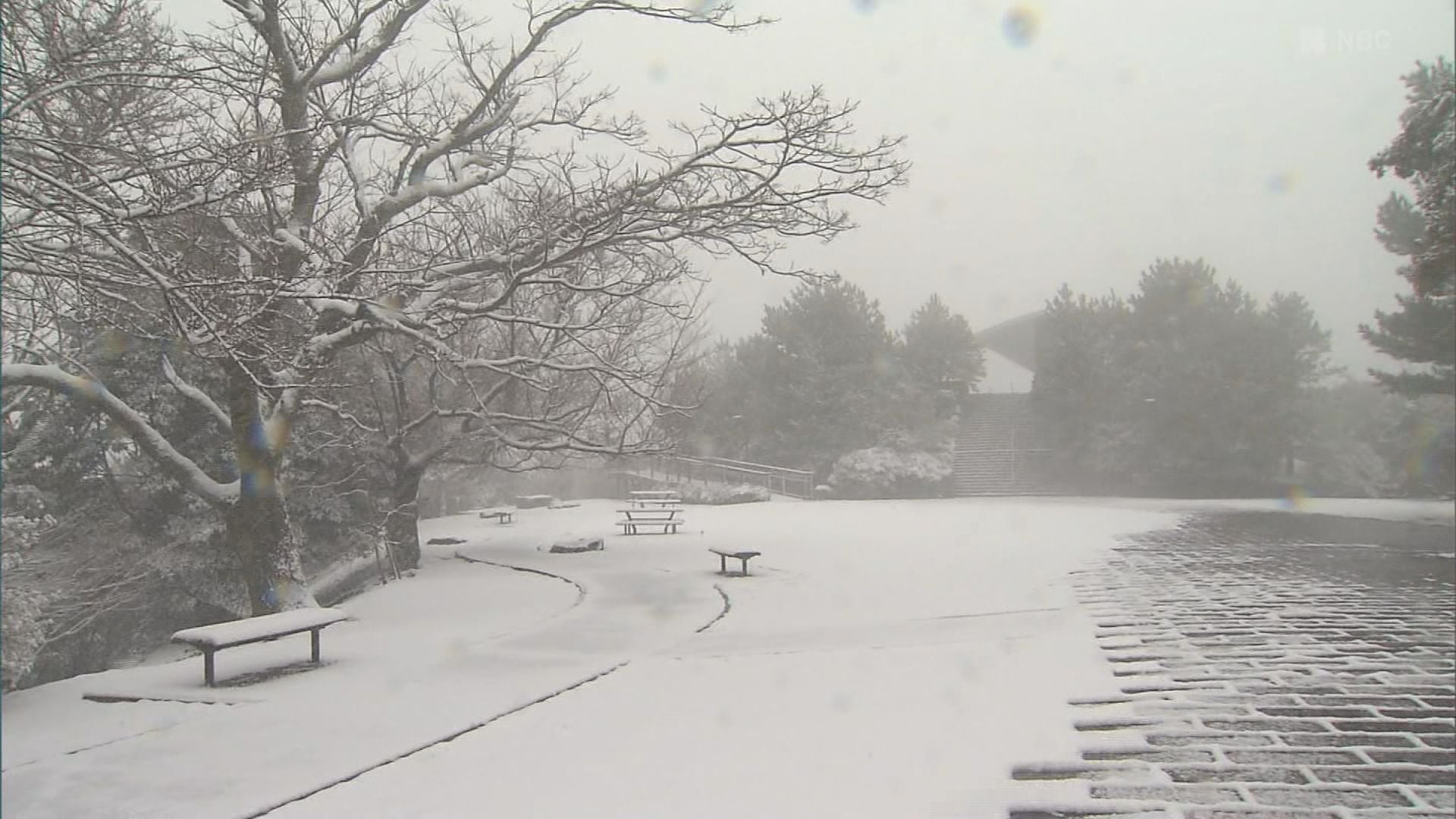 長崎県北部の山間部では積雪 29日にかけ積雪や路面凍結などに注意