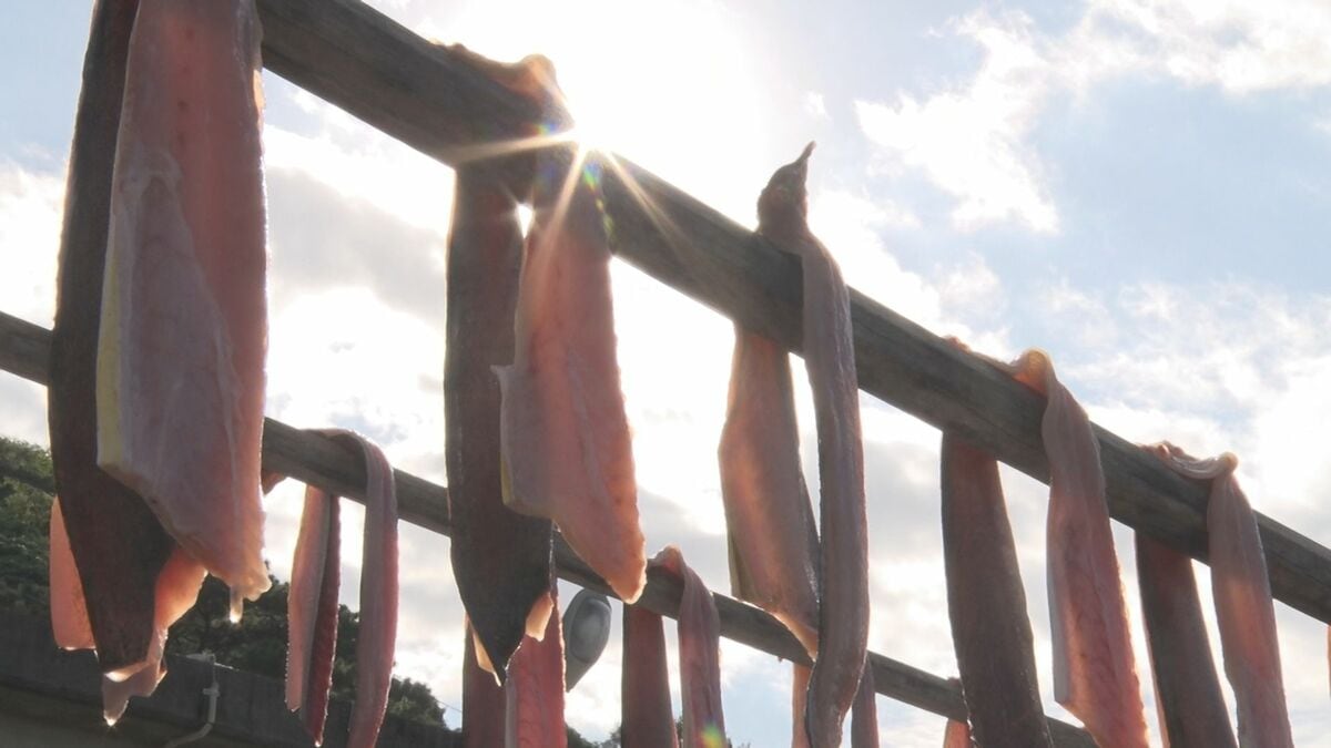 富をもたらす魚「フーヌイユ」　今月23日のまつりを前に水揚げ　沖縄・国頭村