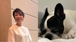 【 いぬ 】安藤優子さんの愛犬・リン「V字回復」決め手は「適切な輸液治療」　妹犬・タンは「つかず離れず」良い距離感|TBS NEWS DIG