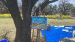 ハンセン病療養所「多磨全生園」内で開かれた「あおぞら絵画教室」|TBS NEWS DIG