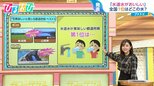 「水道水がおいしい都道府県」全国1位は?“蛇口からミネラルウォーター”の地域も【ひるおび】|TBS NEWS DIG