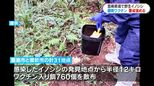 野生イノシシへの豚熱経口ワクチン緊急散布・説明会 鹿児島県|TBS NEWS DIG