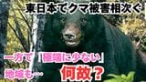 【 ツキノワグマ 】東日本で相次ぐクマ被害　その一方で「今シーズンは極端に少ない」というエリアも　その差はいったい何なのか？　|　岡山・香川のニュース | 天気 | RSK山陽放送