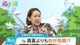 秋に活発化!多い&しつこい「蚊」にご用心「くつ下の上からもスプレーを」【ひるおび】|TBS NEWS DIG