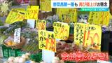 野菜はこの時期がお買い得?! 野菜の価格高騰一服も『田植えの時期』には再び値上がりの懸念 新潟県|TBS NEWS DIG