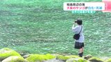 柏島周辺の海で大量のサンゴが白化・死滅 2024年の猛暑が影響か【高知・大月町】 | 高知のニュース・天気|KUTV NEWS | KUTVテレビ高知