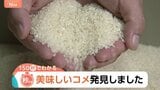 最高ランク「特A」に43銘柄！千葉の「粒すけ」は“倒れない”強さで初選出　2025年おコメの食味ランキング【Nスタ解説】|TBS NEWS DIG