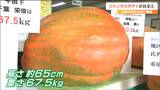 『高さ65センチ、重さ67.5キロ』コンテストで優勝したジャンボカボチャ そのお味「おいしくはない」|TBS NEWS DIG