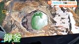 【絶景映像】パラグライダーで見た奇跡の絶景 眼下にエメラルドグリーンにきらめく蔵王「御釜」|TBS NEWS DIG