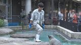 「ぺんぎん館」で妻のものとみられるスマホ発見 殺人容疑で再逮捕された旭山動物園職員の男「妻に異性関係を疑われた」破壊してデータ消去を図ったか|TBS NEWS DIG