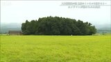 100基連なる鳥居の赤いトンネルを抜けた先に見えた狐と幻想 | 新潟のニュース・天気|BSN NEWS|BSN新潟放送