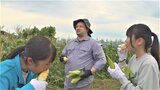 “Yes!” 青洲高校生が英語で会話しながら地元特産のトウモロコシ「甘々娘」を収穫体験|TBS NEWS DIG