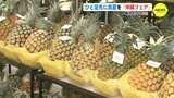 ひと足先に真夏を「沖縄フェア」始まる　広島県内のイオンで　|　RCC NEWS | 広島ニュース | RCC中国放送