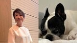 【 いぬ 】安藤優子さんの愛犬・リン「V字回復」決め手は「適切な輸液治療」 妹犬・タンは「つかず離れず」良い距離感|TBS NEWS DIG