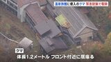 山形・米沢市の温泉旅館に侵入のクマ 緊急銃猟で駆除 経営者家族3人けがなし 被害状況を確認中|TBS NEWS DIG