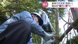 北陸特有の“重たい雪” 荒縄や木材つかって花木を守る「雪囲い」作業すすむ 富山・高岡|TBS NEWS DIG