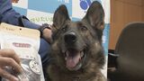 警察犬“エース”リンダに感謝状 行方不明の男性を靴の匂いたどって無事発見 半年で5人見つける 賞品は豚のジャーキー 7歳のメスのシェパード 愛知県警 | 名古屋・愛知・岐阜・三重のニュース【CBC news】 | CBC web