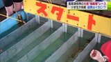 結果は「イカ」に！？風間浦小の児童が烏賊様レースを体験|TBS NEWS DIG
