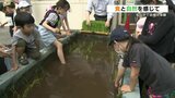 マチナカで自然を感じて 学習塾で田植え体験 | 熊本のニュース|RKK NEWS|RKK熊本放送