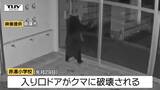 クマパトロール中の南陽市の職員が襲われ大ケガ　クマは今も捕獲されず　鶴岡市、山形市、天童市などでもクマ目撃相次ぐ（山形）　|　山形のニュース│TUYテレビユー山形
