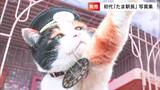 廃線危機を救った三毛猫 “初代たま駅長” 「仕事のベストパートナーだった」写真集発売【岡山】|TBS NEWS DIG