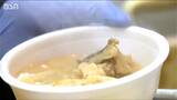 約2000人が冬の味覚アンコウを堪能 半日でアンコウ鍋850杯完売!大盛況!|TBS NEWS DIG