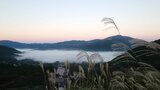 大分市はこの秋一番の冷え込み 21日朝は11月並みの寒さに | 大分のニュース|OBS NEWS|大分放送