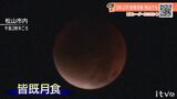 9日(火)も厳しい暑さ続く 日差しの活用を 愛媛|TBS NEWS DIG