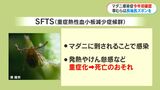 マダニ媒介の感染症SFTS 鹿児島で今年初確認「草むらは長袖・長ズボンを」 | 鹿児島のニュース|MBC NEWS|南日本放送