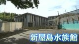 「みかんの皮みたい」水族館の"水槽用アクリルパネル"をNIPPURAが独自技術で製造　来年春のリニューアルオープンを目指す【新屋島水族館】|TBS NEWS DIG