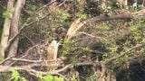 「山のがれきが落ちてくる可能性が…不安」3連休再び台風の影響懸念 2次災害への警戒強める=静岡県・牧之原市|TBS NEWS DIG