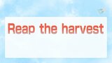 「Reap the harvest」ってどんな意味?　harvestにまつわる英語表現あれこれ|TBS NEWS DIG