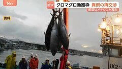 太平洋のクロマグロ漁獲枠「拡大」で合意 異例の交渉再開で“日本の提案に近い形”に　11月末に最終決定へ| TBS CROSS DIG with Bloomberg
