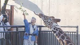 清掃事業所志望から「しぶしぶ来た」元バンドマンの飼育員が33年後…旭山動物園の園長に　ヒナの死から学んだ教訓“中途半端な気持ちでは…”北海道旭川市|TBS NEWS DIG