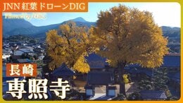 初冬の青空を染める銀杏【JNN 紅葉ドローンDIG 2023】|TBS NEWS DIG