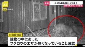夜の動物園に忍び込むクマ 一度ならず二度までも…山形では名産品が食い荒らされ“食害”が深刻化【news23】|TBS NEWS DIG