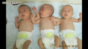 「夫が産後うつに」「ミルク・おむつ代は最大月に5万円」双子・三つ子など多胎育児の親にかかる心身・経済的負担|TBS NEWS DIG