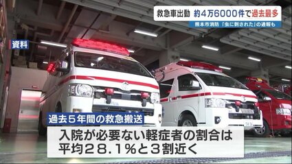 虫に刺された」で119番・・・救急車の出動、入院必要なしが3割 議員