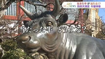 ブロンズの、牛の彫刻、作者不明。 生き抜き