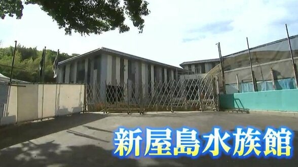 「みかんの皮みたい」水族館の"水槽用アクリルパネル"をNIPPURAが独自技術で製造　来年春のリニューアルオープンを目指す【新屋島水族館】　|　岡山・香川のニュース | 天気 | RSK山陽放送
