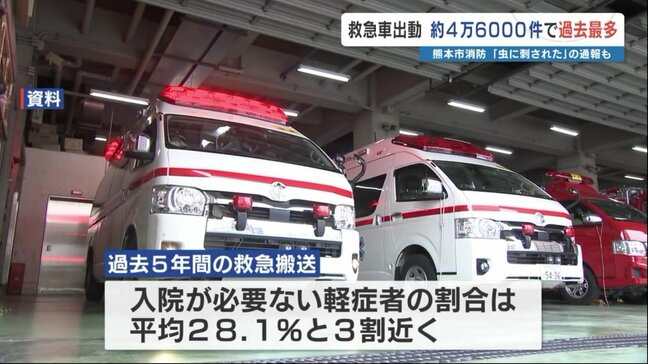 「虫に刺された」で119番･･･救急車の出動、入院必要なしが3割　議員から「有料にすべきでは？」　迷ったら『＃7119』の活用も|TBS NEWS DIG