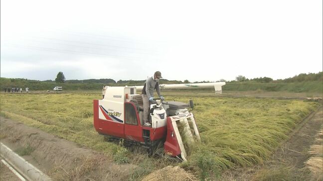 台風19号で整備した遊水地で稲刈り 営農再開に向けて試験栽培 その結果は…|TBS NEWS DIG