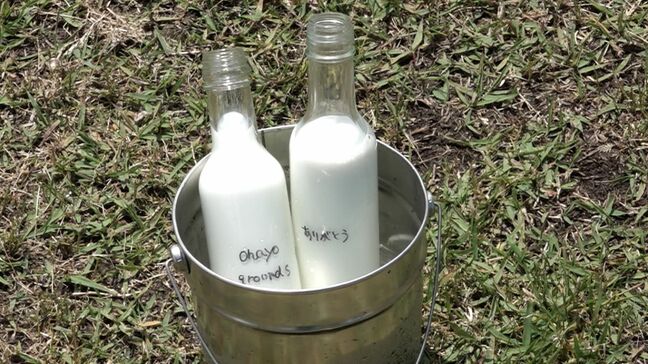 オハヨー乳業が「ミルクカフェ」オープン　看板メニューはまろやかな「乾杯ミルク」【岡山】|TBS NEWS DIG