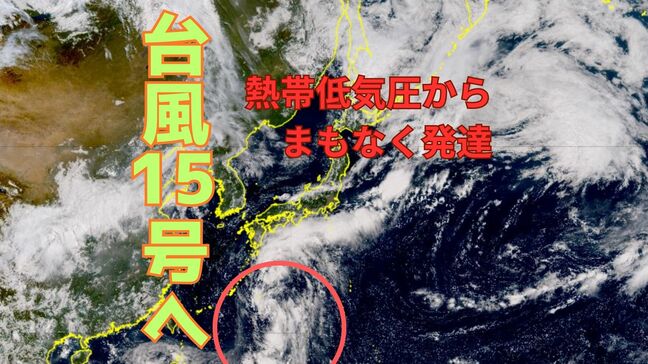 【台風情報 3日午前10時半】まもなく台風15号へ…本州南岸を東に進むか　西日本 東日本は大雨と強風に警戒　週末にかけ全国的に大雨・強風に警戒【雨と風のシミュレーション】|TBS NEWS DIG