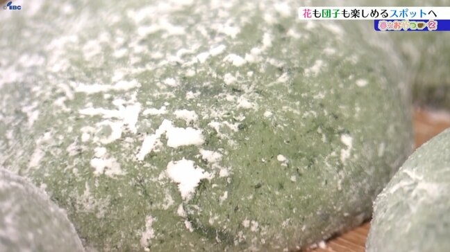 春のおやつ②花も団子も楽しめるスポットでいただく手作りの味　ヨモギ大福　岩手・雫石町|TBS NEWS DIG