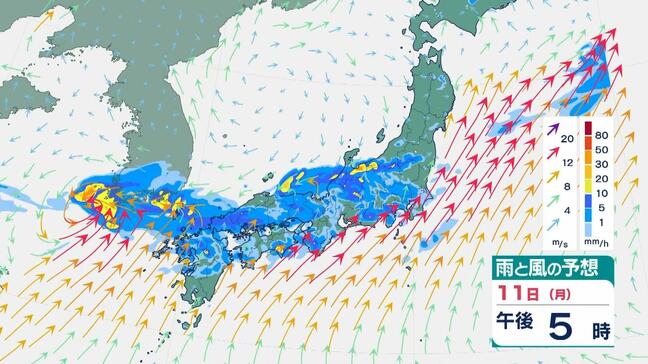【大雨情報】11日（月・祝）三連休最終日も大雨　大阪府などで大雨警報も　今後の見通しは？|TBS NEWS DIG