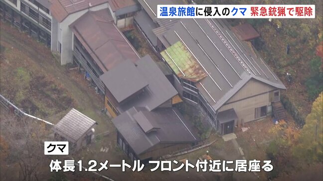 山形・米沢市の温泉旅館に侵入のクマ 緊急銃猟で駆除 経営者家族3人けがなし 被害状況を確認中|TBS NEWS DIG