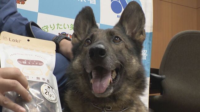 警察犬“エース”リンダに感謝状 行方不明の男性を靴の匂いたどって無事発見 半年で5人見つける 賞品は豚のジャーキー 7歳のメスのシェパード 愛知県警|TBS NEWS DIG