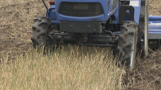 「油が心配」航空自衛隊のT-4練習機が墜落 愛知・犬山市の入鹿池はコメ作りに欠かせない農業用水|TBS NEWS DIG